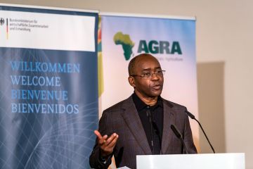 Ich bin ein Alternativtext