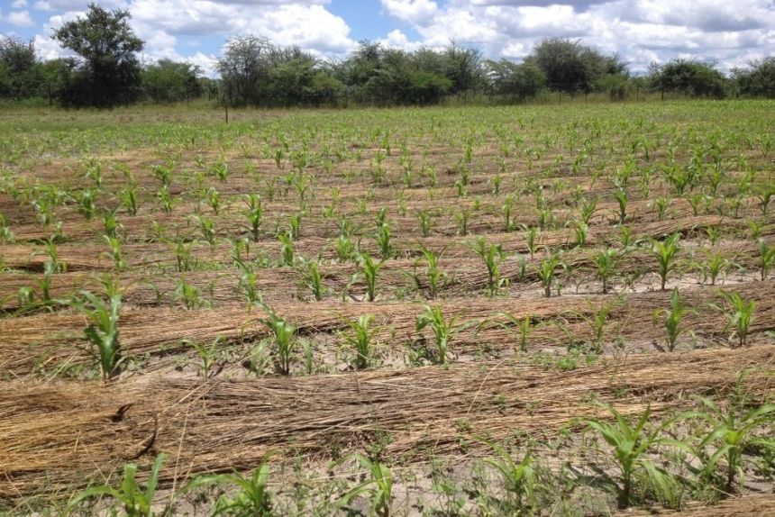 Kosten-Nutzen Analysen für mehr Bodenschutz