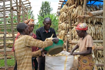 Ich bin ein Alternativtext