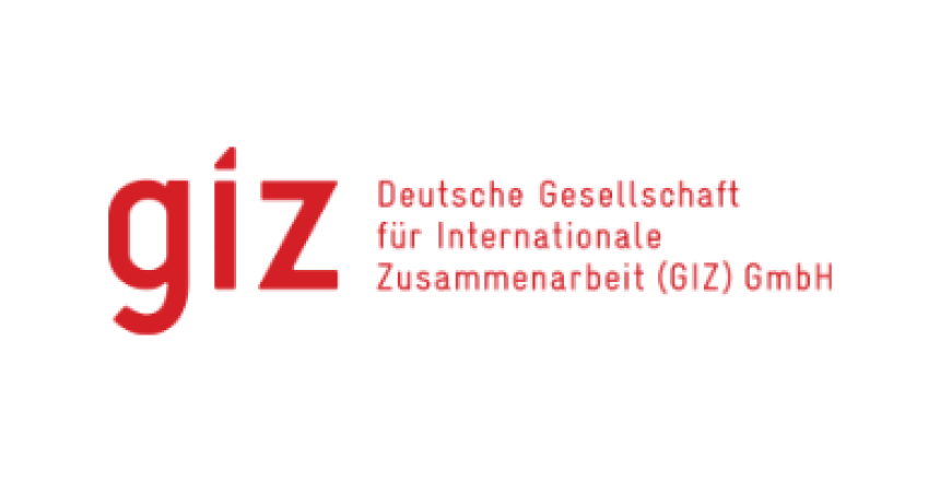 Deutsche Gesellschaft für Internationale Zusammenarbeit (GIZ)