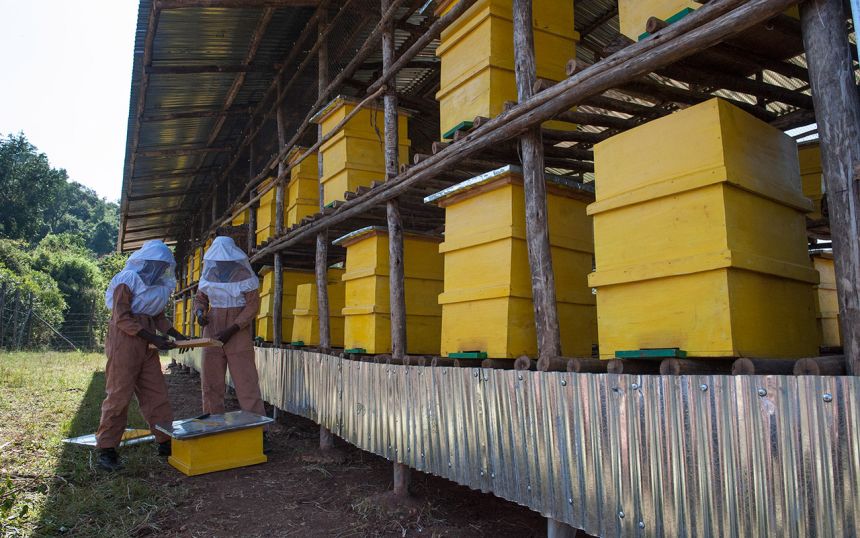 Start-ups auf dem Land