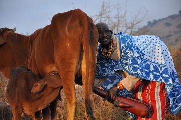 Ich bin ein Alternativtext