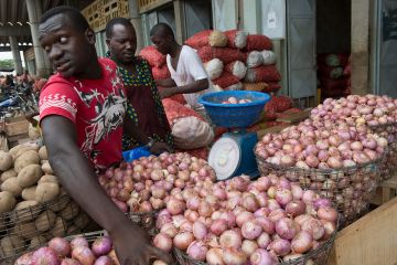 Ich bin ein Alternativtext