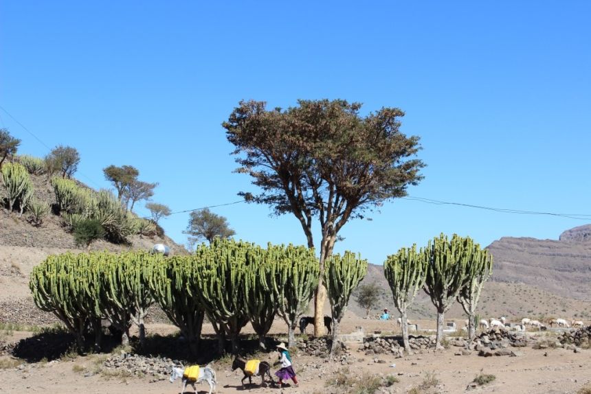 Widerstandsfähigkeit in Krisenzeiten