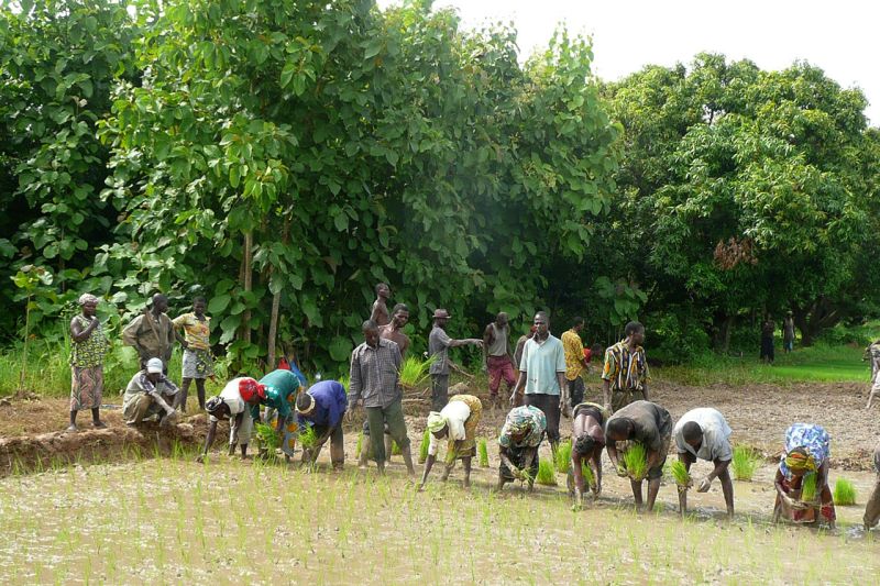Ich bin ein Alternativtext