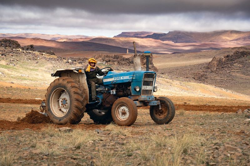 Ich bin ein Alternativtext