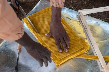 Ich bin ein Alternativtext