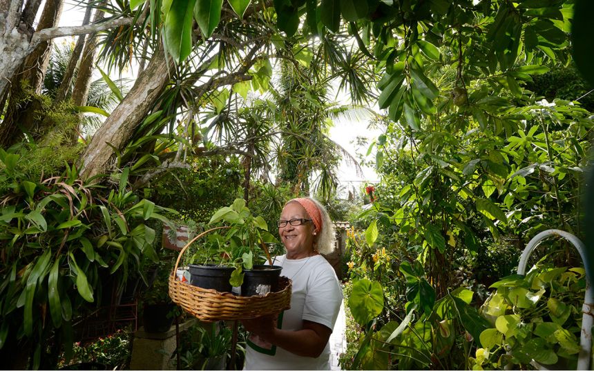 Hype um Urban Gardening: Landwirte oder Hobbygärtner?