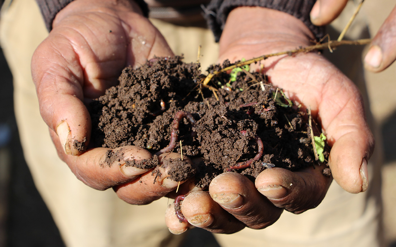 (c) Dorothea Hohengarten / GIZ